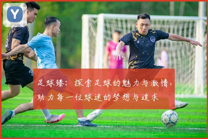 足球臻：探索足球的魅力与激情，助力每一位球迷的梦想与追求