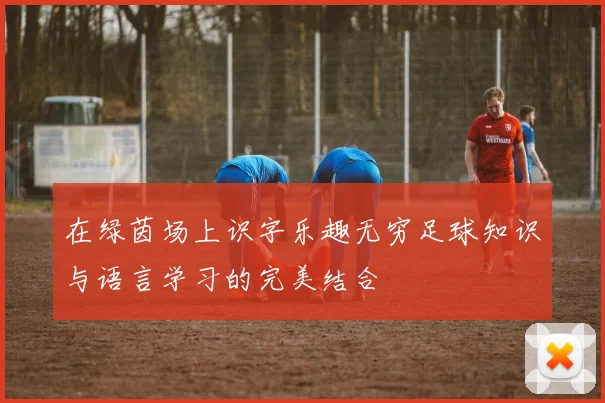在绿茵场上识字乐趣无穷足球知识与语言学习的完美结合