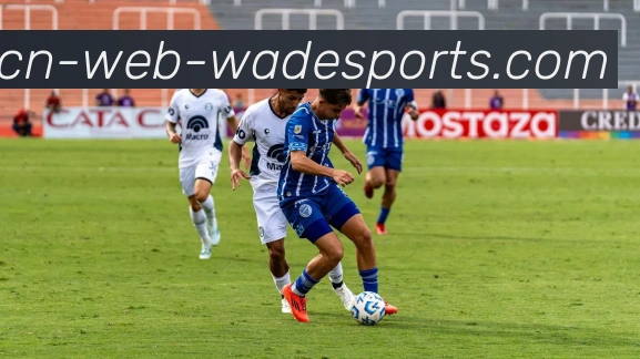 betvictor中国平台生态图