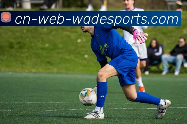 betvictor中国全站App